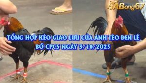 Tổng hợp kèo giao lưu của anh Tèo Đen Lê tại CPC5 ngày 3/10/2025