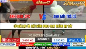 Trận 11 Bồ Gà Tonhon 10/10/2025