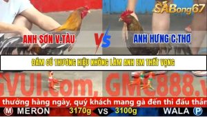 Trận 28 Bồ Gà C5 30/10/2025