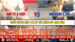 Trận 5 Bồ Gà C5 ngày 5/11/2025