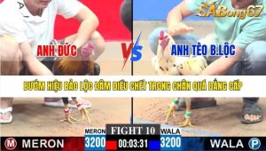 Trận 10 Bồ Gà C3 28/12/2025