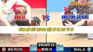 Trận 11 Bồ Gà C3 21/12/2025