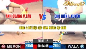 Trận 12 Bồ Gà C3 18/5/2025