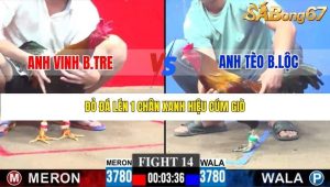 Trận 14 Bồ Gà C3 28/12/2025