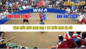 Trận 14 Bồ Gà Tonhon 10/12/2025