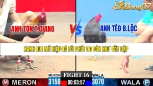 Trận 16 Bồ Gà C3 21/12/2025