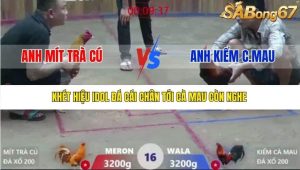 Trận 16 Bồ Xà Xía 19/12/2025