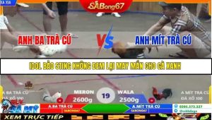 Trận 19 Bồ Xà Xía 7/12/2025