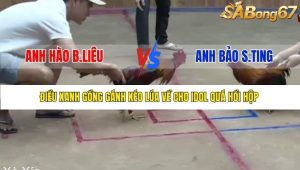 Trận 2 Bồ Xà Xía 19/12/2025