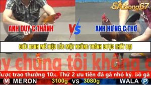 Trận 24 Bồ Gà Tonhon 4/12/2025