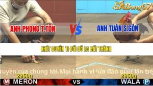 Trận 26 Bồ Gà C4 23/12/2025