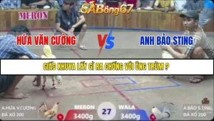 Trận 27 Bồ Xà Xía 7/12/2025