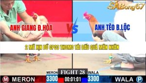 Trận 28 Bồ Gà C3 21/12/2025