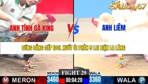 Trận 29 Bồ Gà C3 21/12/2025