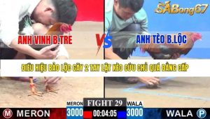 Trận 29 Bồ Gà C3 28/12/2025