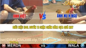 Trận 3 Bồ Gà C4 26/12/2025