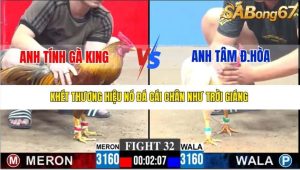 Trận 32 Bồ Gà C3 21/12/2025