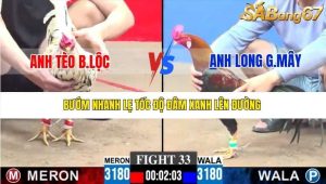 Trận 33 Bồ Gà C3 28/12/2025