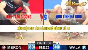 Trận 35 Bồ Gà C3 28/12/2025