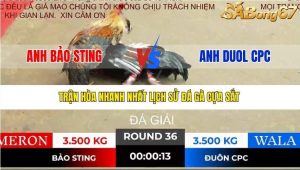 Trận 36 Bồ Tonhon 19/12/2025