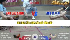 Trận 38 Bồ Xà Xía 19/12/2025