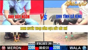 Trận 39 Bồ Gà C3 28/12/2025