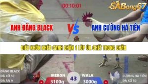 Trận 43 Bồ Xà Xía 19/12/2025