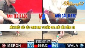 Trận 47 Bồ Gà C3 21/12/2025