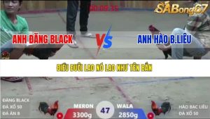 Trận 47 Bồ Xà Xía 19/12/2025