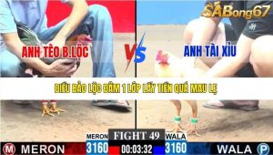 Trận 49 Bồ Gà C3 21/12/2025