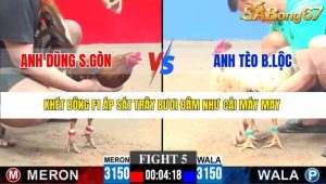 Trận 5 Bồ Gà C3 21/12/2025