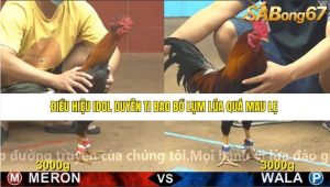 Trận 5 Bồ Gà C4 24/12/2025