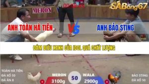 Trận 50 Bồ Xà Xía 19/12/2025