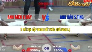 Trận 6 Bồ Xà Xía 19/12/2025