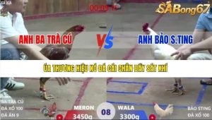 Trận 8 Bồ Xà Xía 19/12/2025