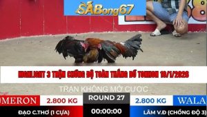 3 trận chồng độ toàn thắng bồ Tonhon