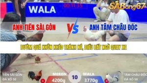 Trận 10 Bồ Gà Xà Xía 22/1/2026