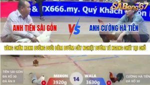 Trận 14 Bồ Gà Xà Xía 22/1/2026