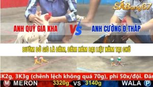 Trận 20 Bồ Gà Cpc5 22/1/2026