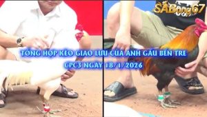 anh Gấu Bến Tre bồ CPC3 ngày 18/1/2026