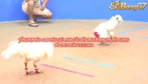 Anh Gấu Bến Tre Và Anh Ton Tiền Giang