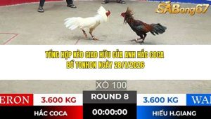 anh Hắc Coca tại bồ Ton Hon ngày 28/1/2025