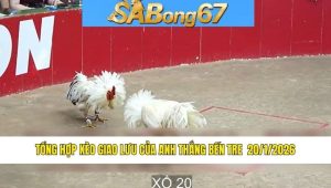 anh Thắng Bến Tre bồ Tonhon ngày 20/1/2026.