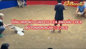 tổng hợp kèo giao lưu của anh Hắc Coca