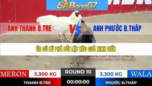 Trận 10 Bồ Tonhon 21/1/2026