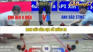 Trận 10 Bồ Xà Xía 1/1/2026