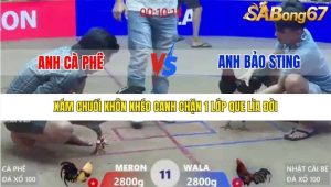 Trận 11 Bồ Xà Xía 1/1/2026