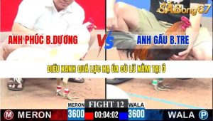 Trận 12 Bồ CPC3 18/1/2026