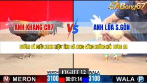 Trận 12 Bồ CPC3 23/1/2026