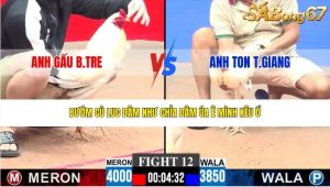 Trận 12 Bồ CPC3 25/1/2026